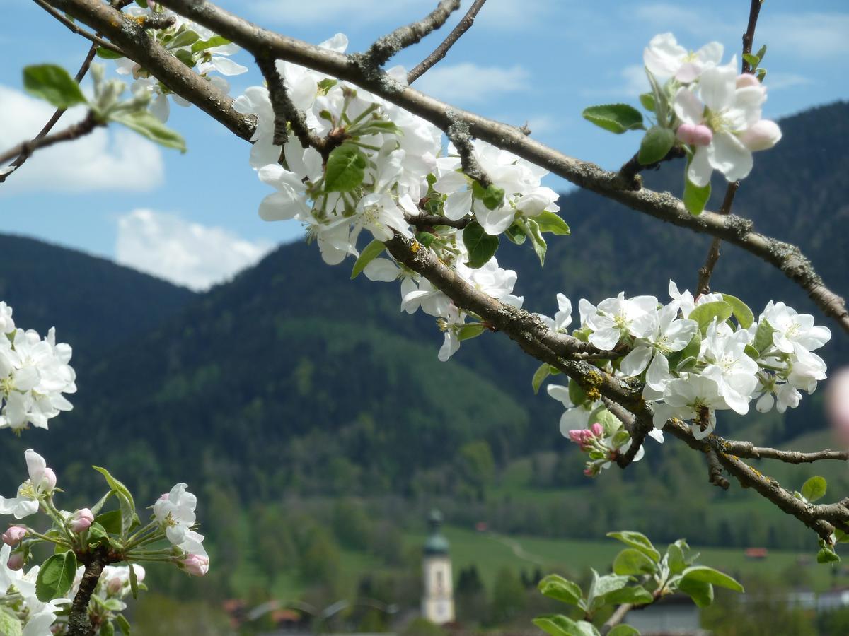 Zum Heisn